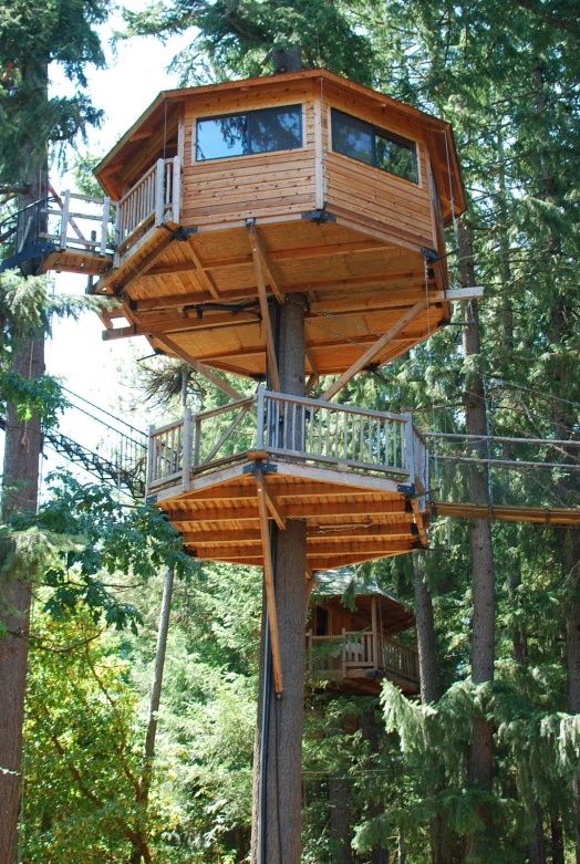 the inside of a tree house near the woods