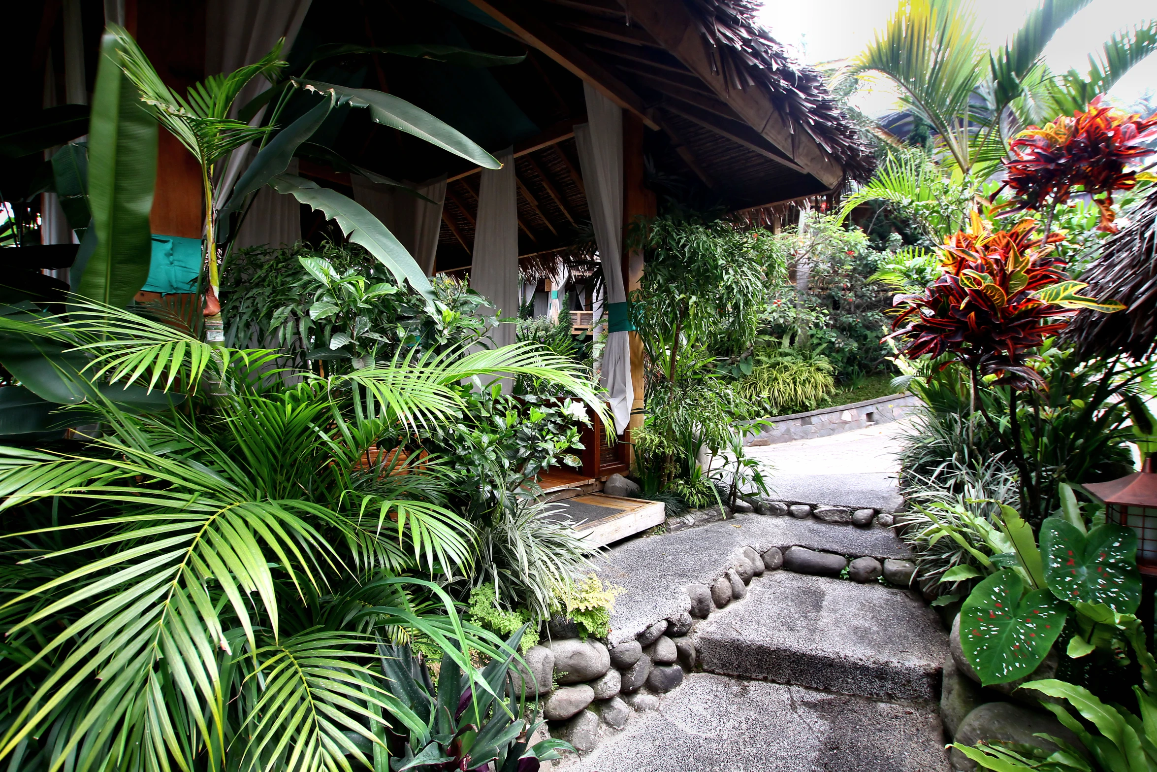 a house surrounded by palm trees, with a rock path in the middle