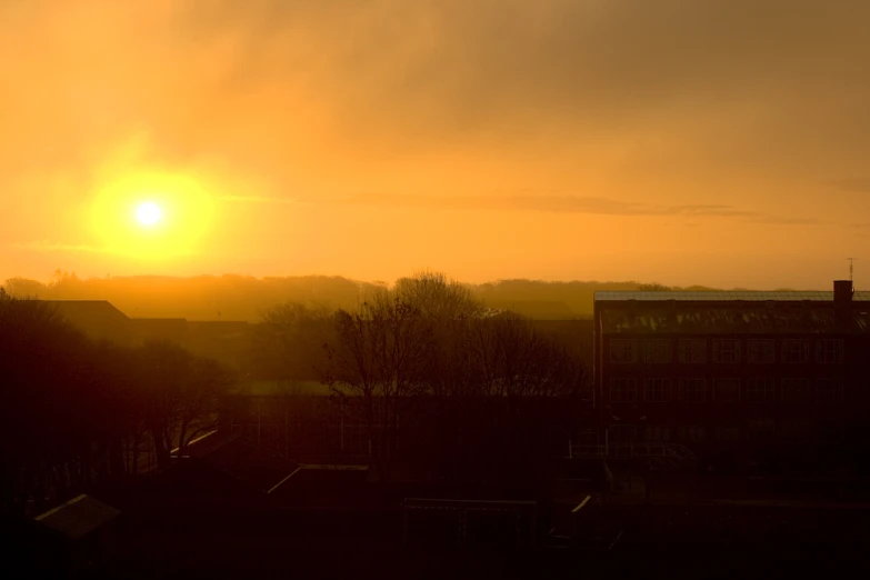 sunset over a city and trees with buildings in the foreground