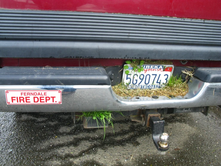 a metal car bumper is filled with green plants