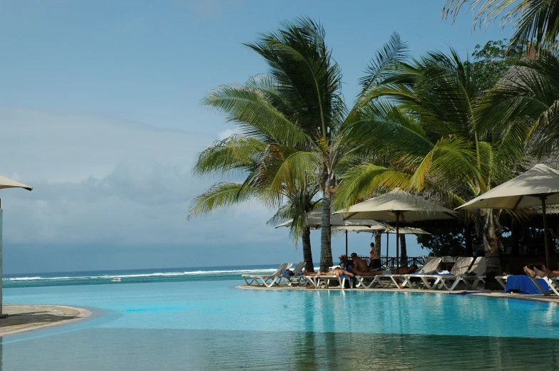 palm trees are around the pool with lawn chairs