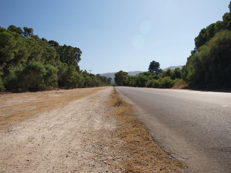 there is a empty road in the middle of the woods