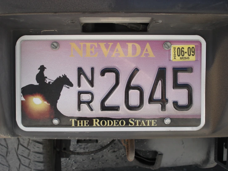 a license plate with an image of a man riding a horse