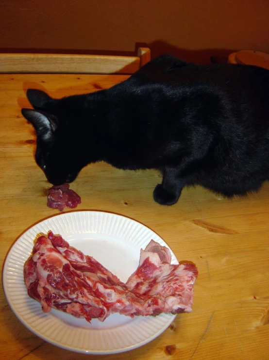 the black cat eats off of a white plate