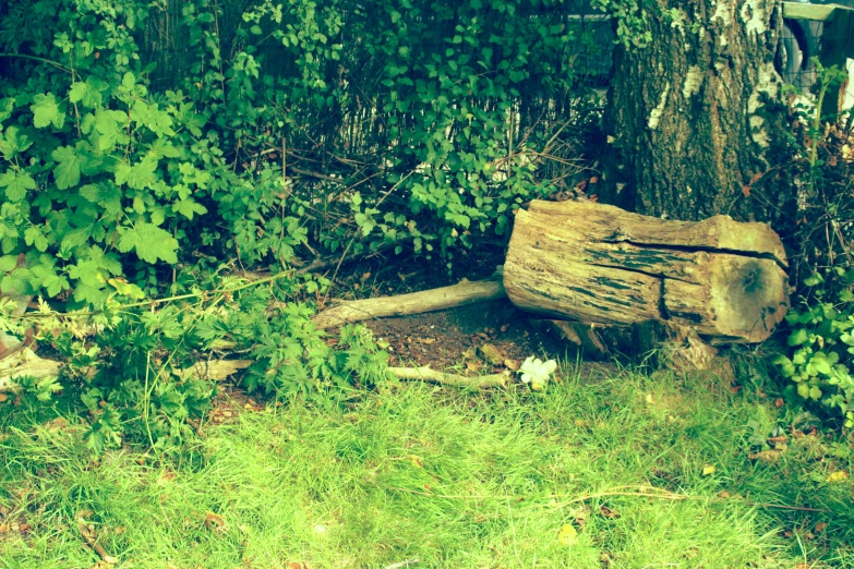 an old wood bench that has been turned into a piece of art