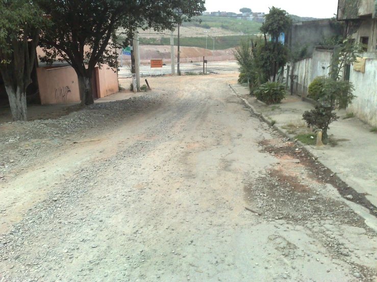 a dirt road that has trees on both sides of it