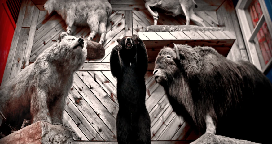 some stuffed animals standing on wooden planks in a room