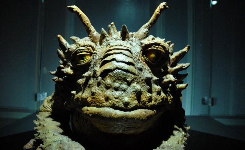 a head on display in a museum of masks