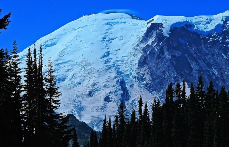 a snowy mountain in the background with trees in front of it