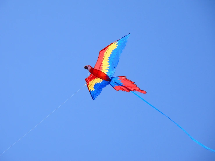 a red, yellow and blue kite with a long tail flies through the sky