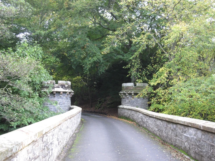 the trees are in the background behind the bridge