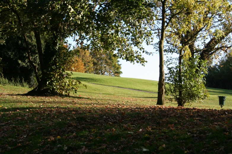 a grassy field with a dirt path that leads to a tree lined hillside