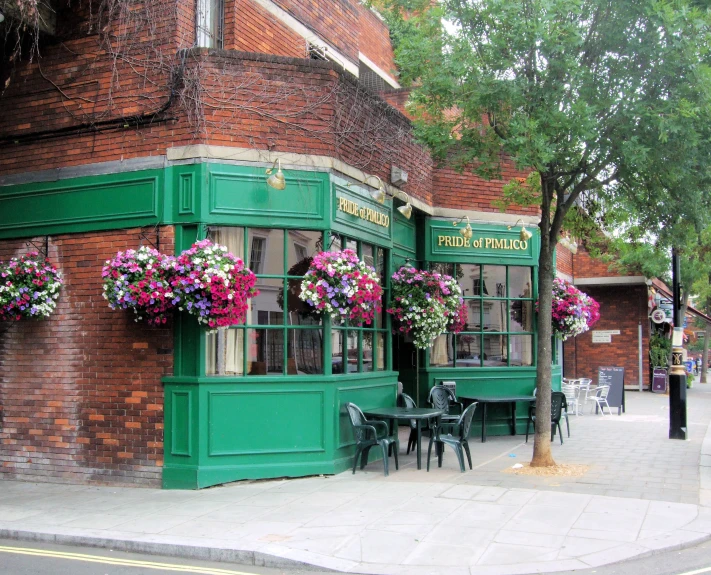 a store front with potted flowers in the windows