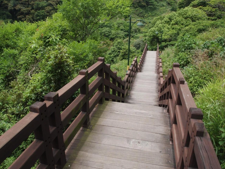 a wooden path leads down to the top of the mountain