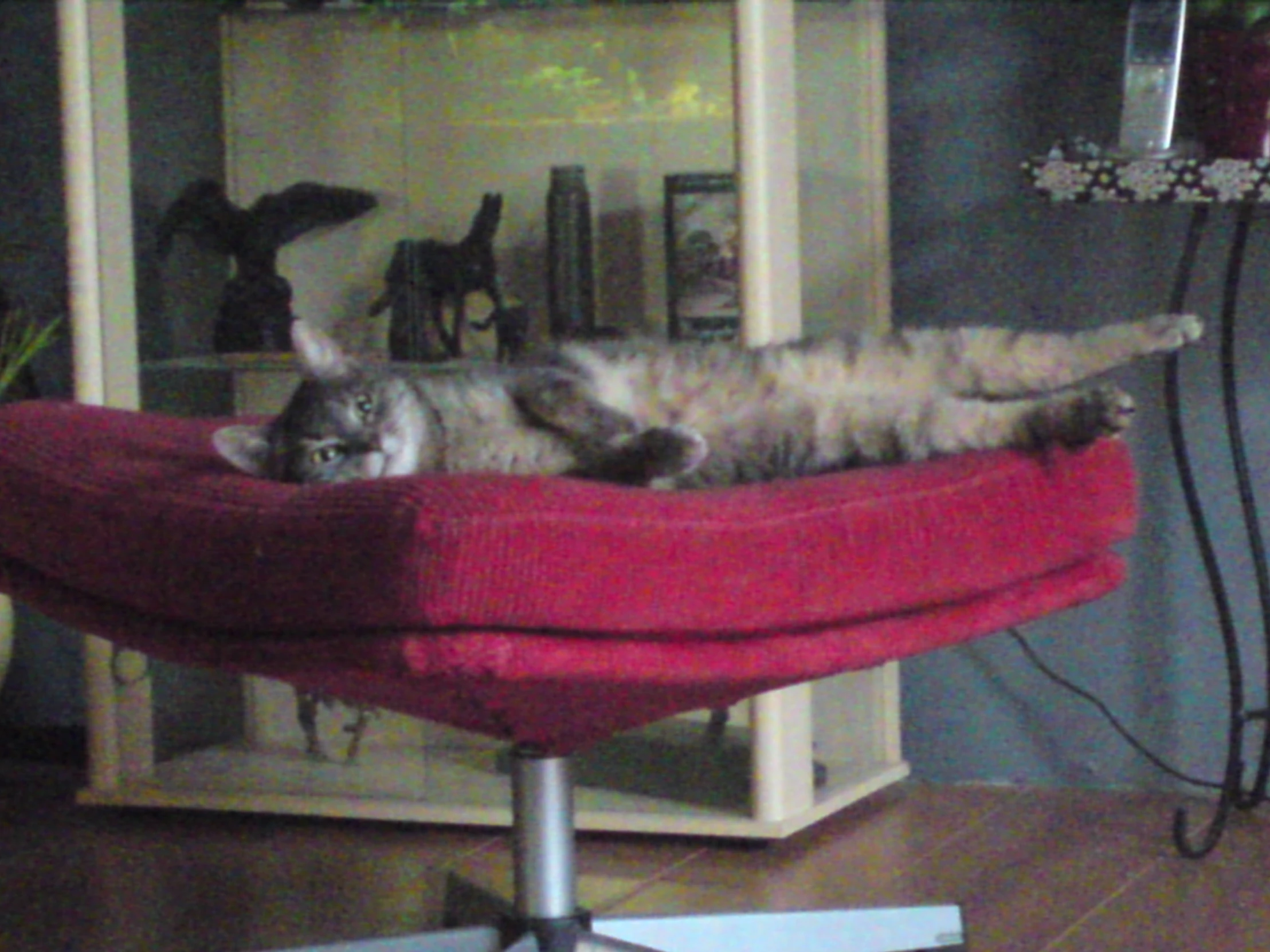 a cat lays down in a bright red arm chair