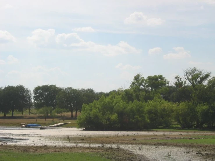 a boat is on the water by the trees