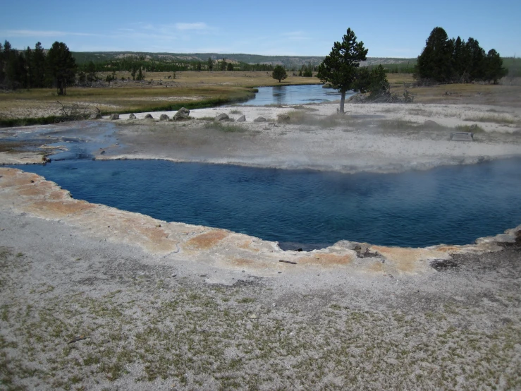 a cratered pond with a tree near the end