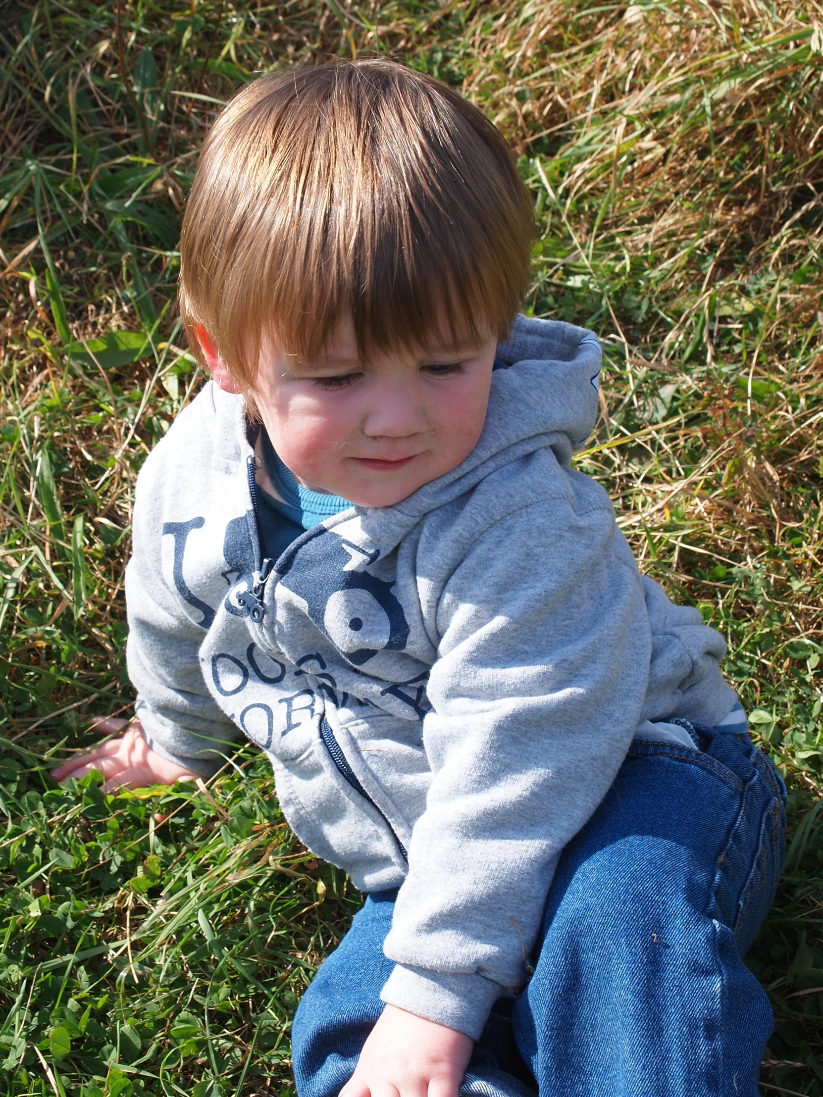 a toddler in a grey sweatshirt sits down on grass