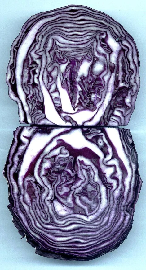 a slice of red cabbage is sitting on a table