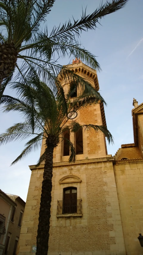 palm tree with a large bell tower next to it