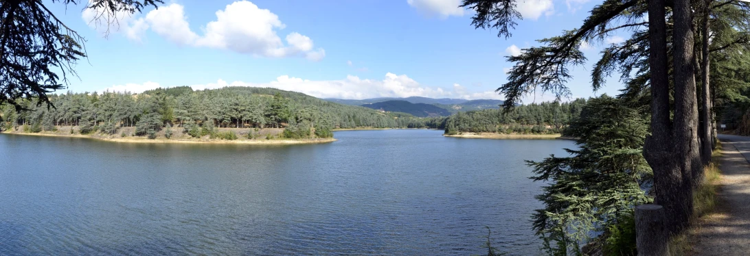 the river is running through the green forested area