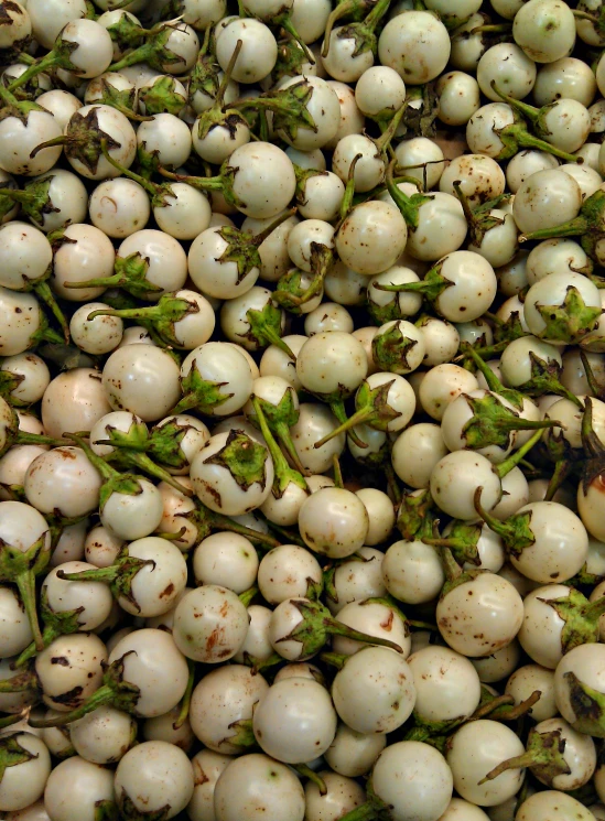 the white berries are ready to be eaten