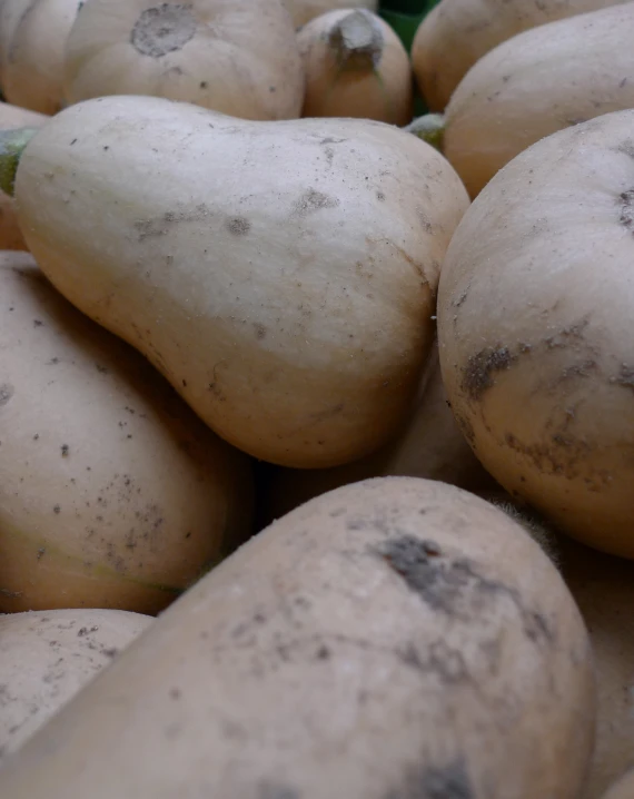 close up of a bunch of sweet potatoes in the market