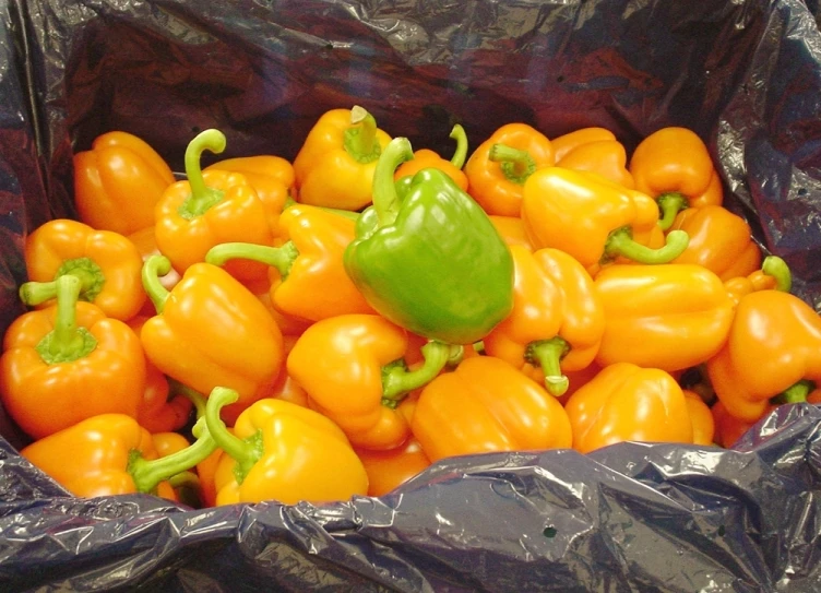 an assortment of peppers in a bag in plastic wrap