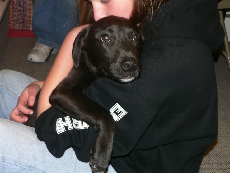 a girl sitting on a couch holding a black puppy