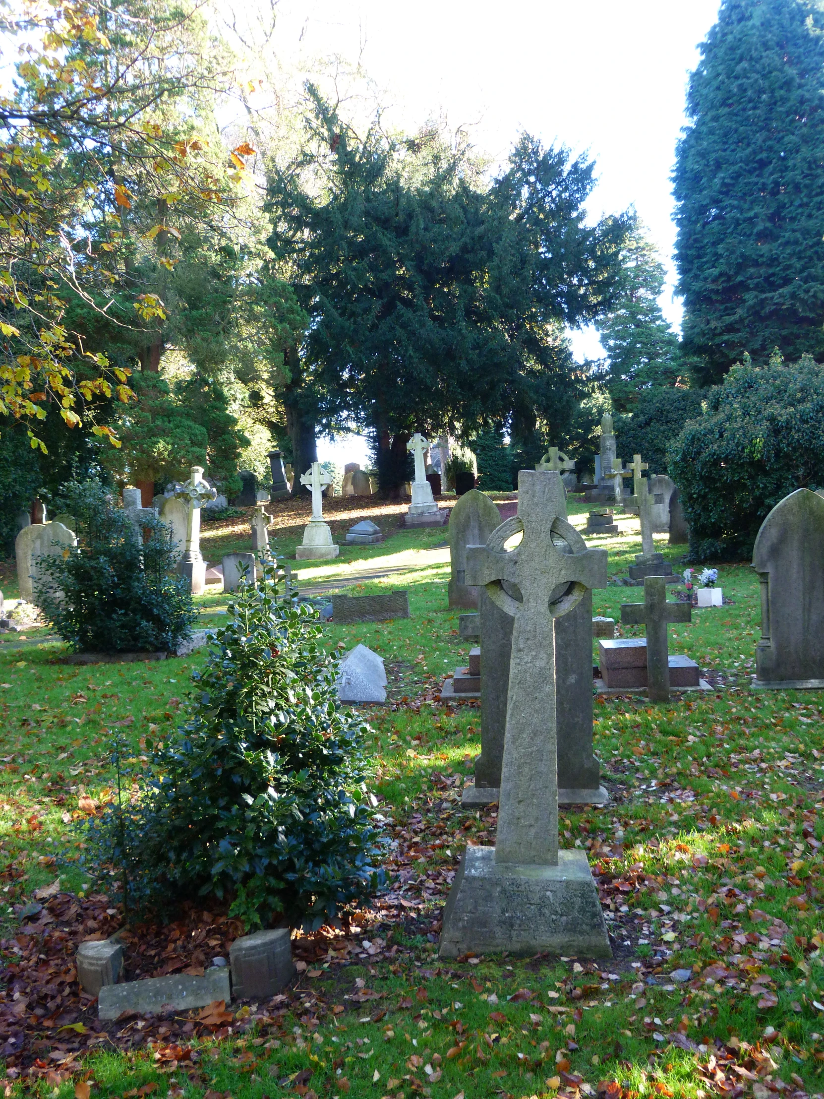 a graveyard is pictured with many headstones and bushes