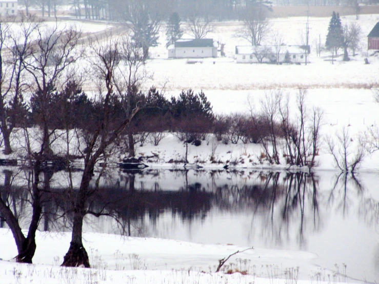 the trees are covered in snow by the lake