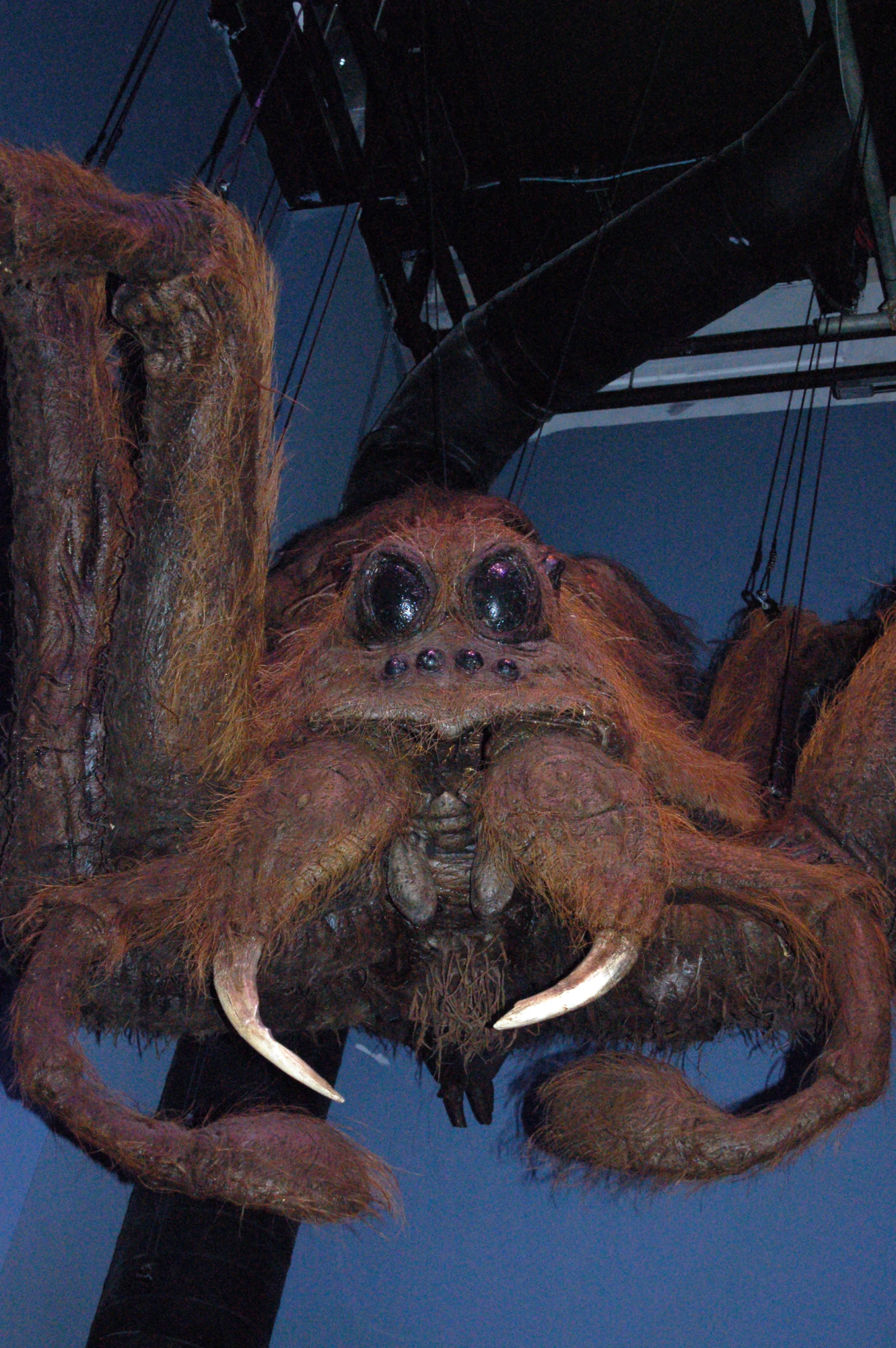 large furry animal hanging upside down near a building