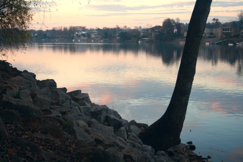 a tree and rock wall on the bank of a lake