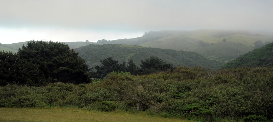 there are mountains covered in fog and rain