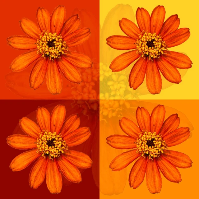 three different colors with yellow and orange