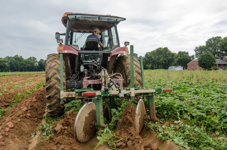 tractor on farm with farmer in tilling area with field full of crops