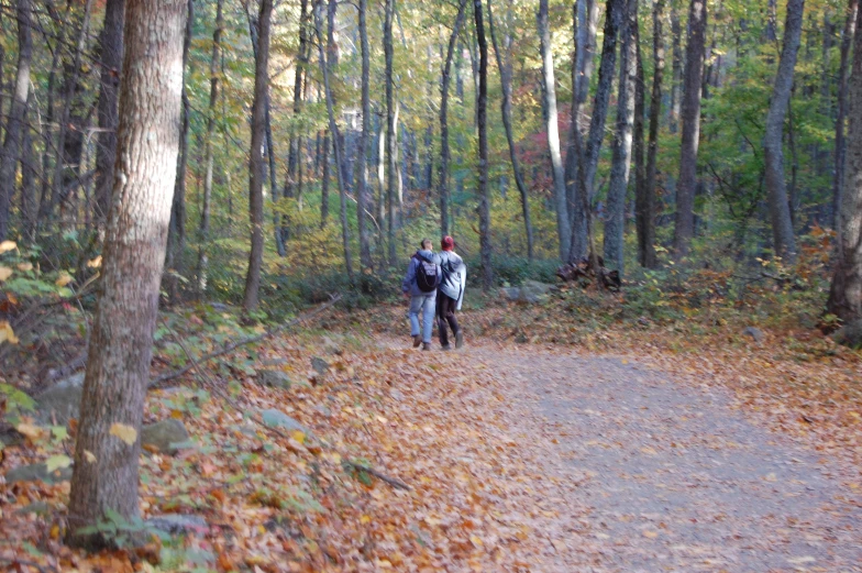 two people with a child walking through the forest