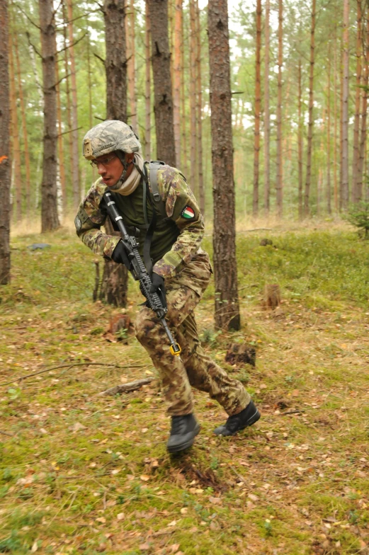 the soldier is moving through the woods with a rifle
