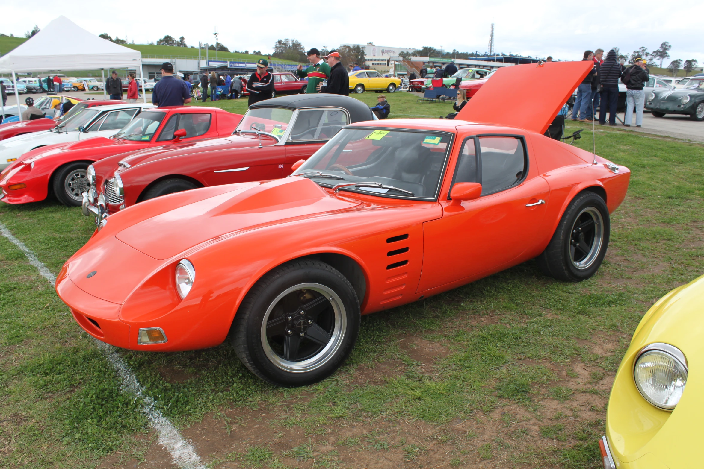 cars are parked on grass at an open air event