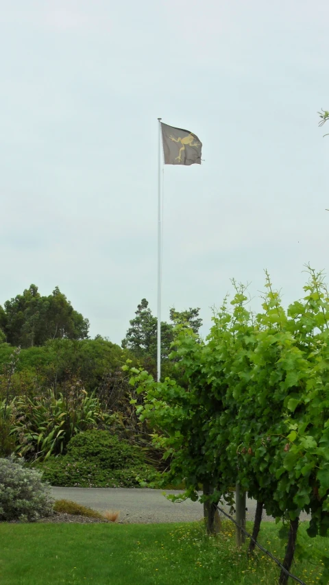 a large flag on a pole above some bushes