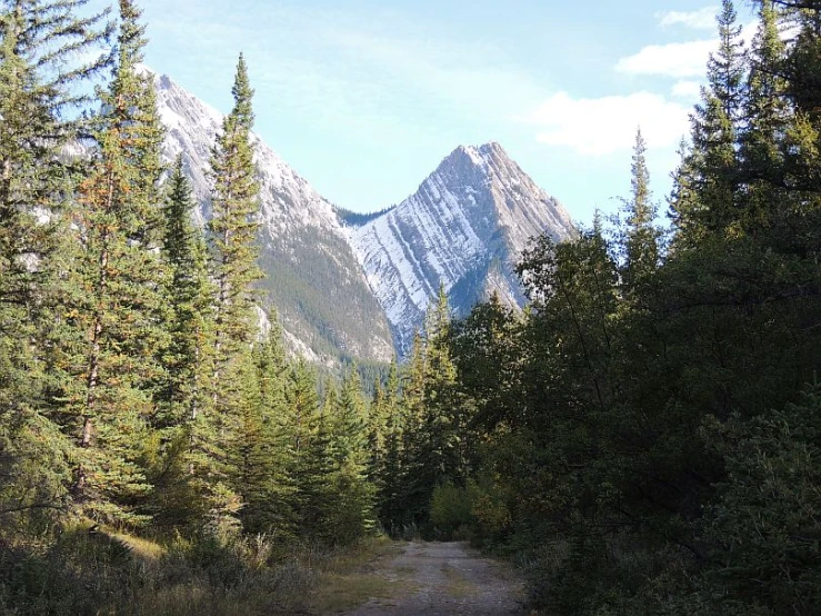 a road through some trees and mountains in the distance