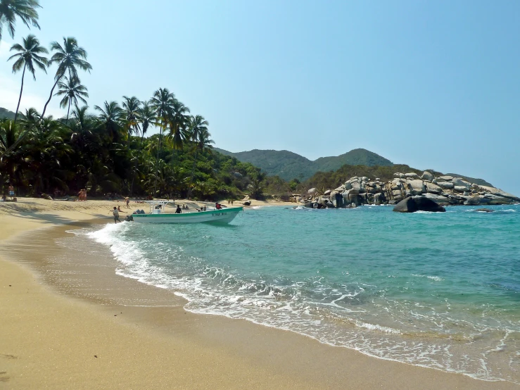 a sandy beach with three boats and trees on the shore