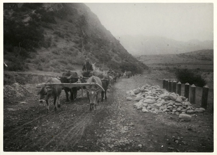 a group of people riding in donkey drawn carriage on dirt road