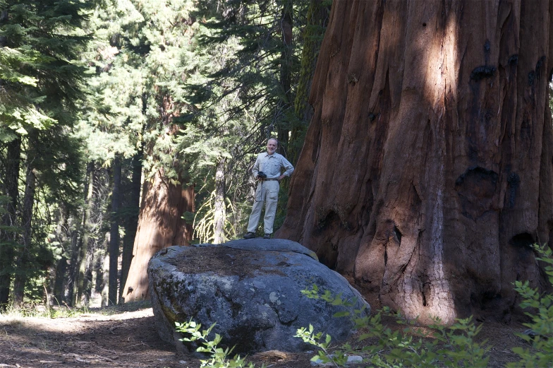 the man in the white uniform stands next to a big tree