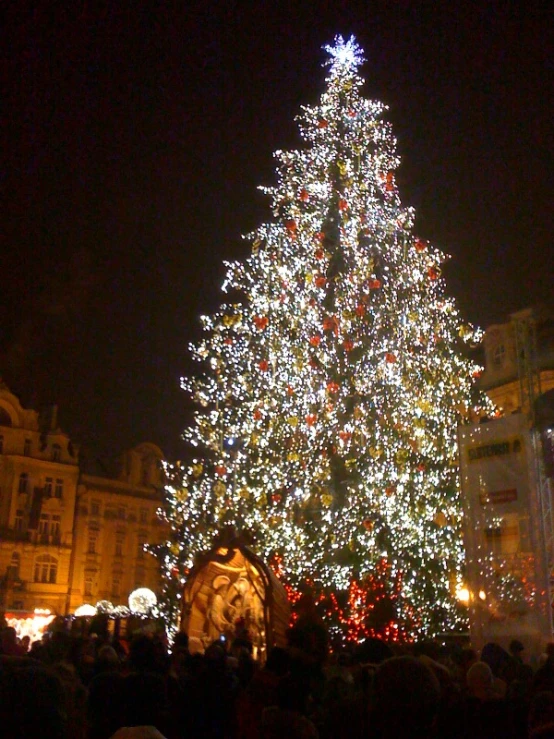 a very tall christmas tree in the middle of town
