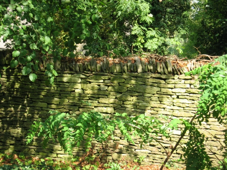 a stone wall is shown behind trees