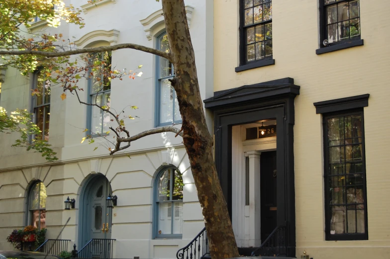 a street scene with focus on a tree and an empty house