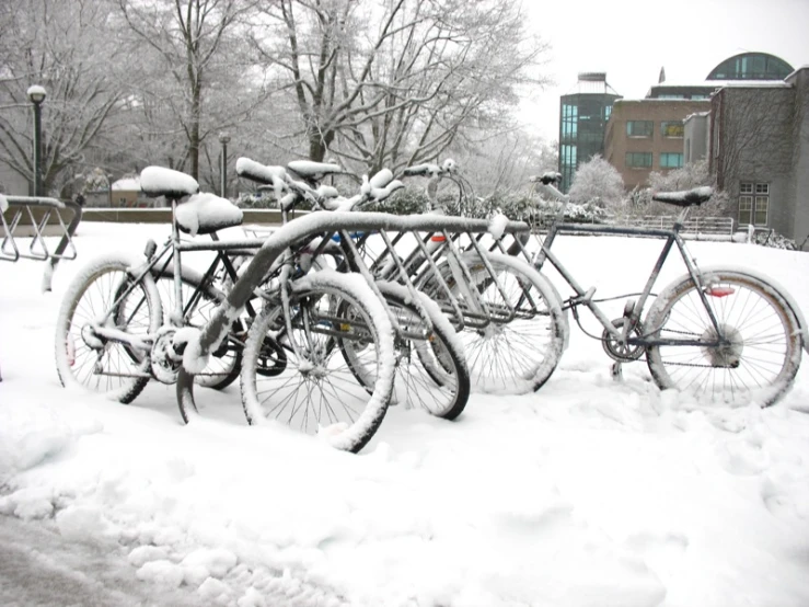 a row of bicycles covered in snow by some buildings