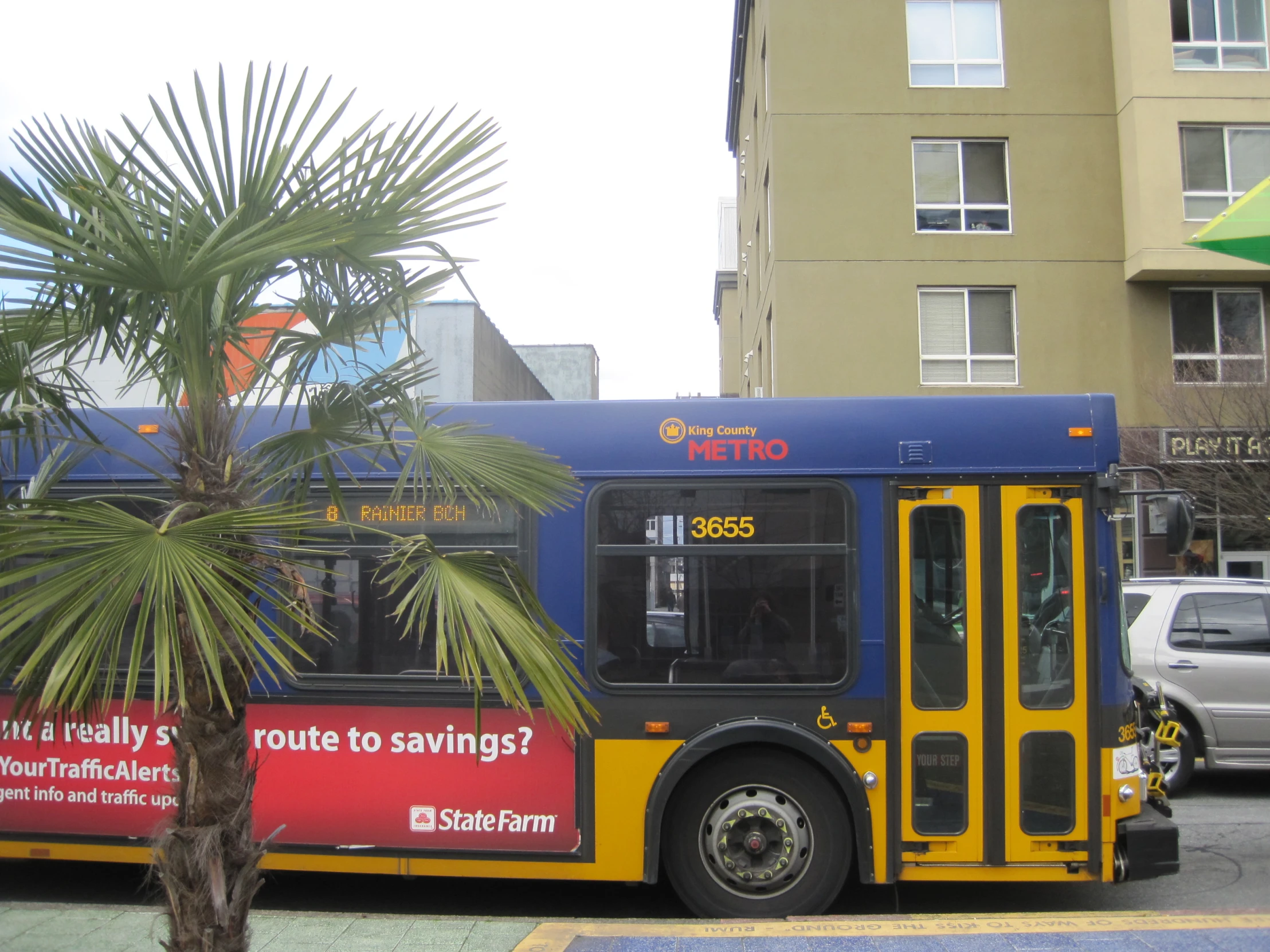 the bus is parked next to a palm tree