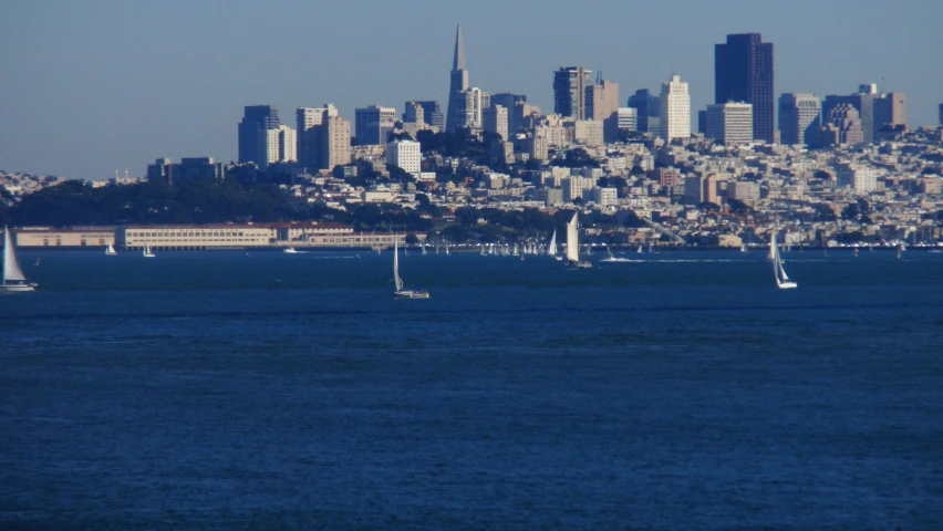 sailboats sail across a body of water in front of a city skyline